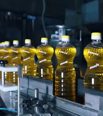 Zaur-ve-Gunay-yag-fabriki-ziyareti